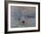 Impression, Rising Sun-Claude Monet-Framed Art Print