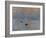 Impression: Sunrise, 1872-Claude Monet-Framed Giclee Print