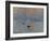 Impression: Sunrise, 1872-Claude Monet-Framed Giclee Print