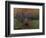 Impression: Sunrise 1873-Claude Monet-Framed Giclee Print