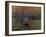 Impression: Sunrise 1873-Claude Monet-Framed Giclee Print