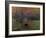 Impression: Sunrise 1873-Claude Monet-Framed Giclee Print