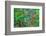 Impressionism-Marco Carmassi-Framed Photographic Print