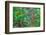 Impressionism-Marco Carmassi-Framed Photographic Print