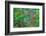 Impressionism-Marco Carmassi-Framed Photographic Print