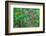 Impressionism-Marco Carmassi-Framed Photographic Print