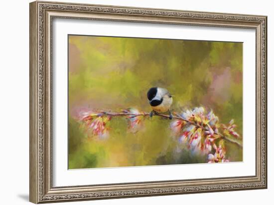 Impressionist Chickadee-Jai Johnson-Framed Giclee Print