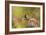 Impressionist Chickadee-Jai Johnson-Framed Giclee Print