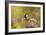 Impressionist Chickadee-Jai Johnson-Framed Giclee Print