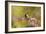 Impressionist Chickadee-Jai Johnson-Framed Giclee Print