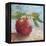 Impressionist Fruit Study I-Ethan Harper-Framed Stretched Canvas