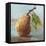 Impressionist Fruit Study II-Ethan Harper-Framed Stretched Canvas