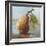 Impressionist Fruit Study II-Ethan Harper-Framed Premium Giclee Print