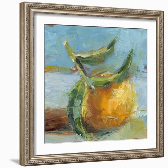 Impressionist Fruit Study III-Ethan Harper-Framed Premium Giclee Print