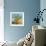 Impressionist Fruit Study III-Ethan Harper-Framed Premium Giclee Print displayed on a wall