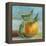 Impressionist Fruit Study III-Ethan Harper-Framed Stretched Canvas