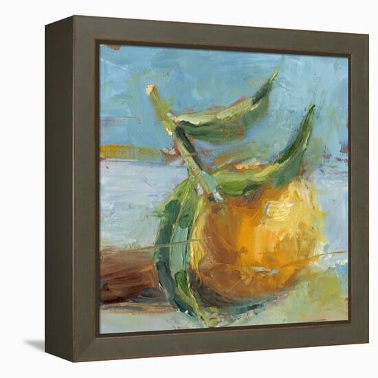 Impressionist Fruit Study III-Ethan Harper-Framed Stretched Canvas
