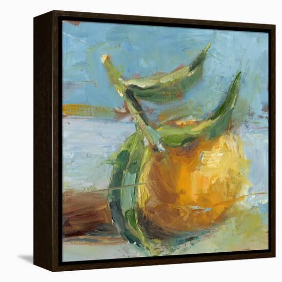 Impressionist Fruit Study III-Ethan Harper-Framed Stretched Canvas