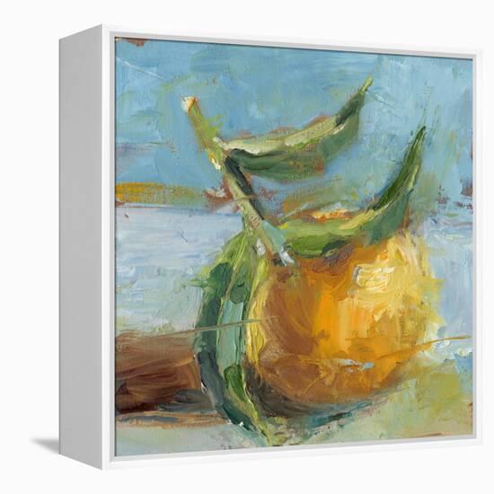 Impressionist Fruit Study III-Ethan Harper-Framed Stretched Canvas