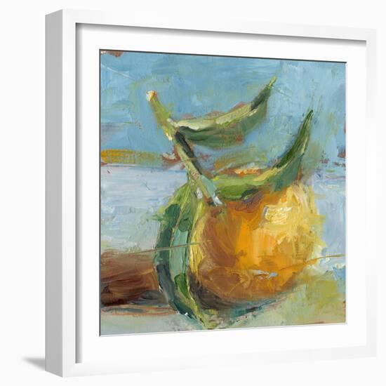 Impressionist Fruit Study III-Ethan Harper-Framed Art Print