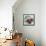 Impressionist Fruit Study IV-Ethan Harper-Framed Stretched Canvas displayed on a wall