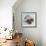 Impressionist Fruit Study IV-Ethan Harper-Framed Premium Giclee Print displayed on a wall