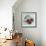 Impressionist Fruit Study IV-Ethan Harper-Framed Art Print displayed on a wall