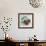 Impressionist Fruit Study IV-Ethan Harper-Framed Art Print displayed on a wall