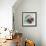 Impressionist Fruit Study IV-Ethan Harper-Framed Art Print displayed on a wall