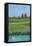 Impressionist Meadow II-Mehmet Altug-Framed Stretched Canvas