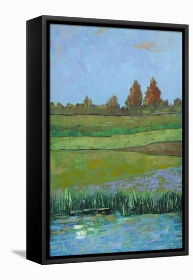 Impressionist Meadow II-Mehmet Altug-Framed Stretched Canvas