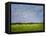 Impressionistic Harvest Field and Truck-Robert Cattan-Framed Premier Image Canvas