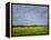 Impressionistic Harvest Field and Truck-Robert Cattan-Framed Premier Image Canvas