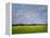 Impressionistic Harvest Field and Truck-Robert Cattan-Framed Premier Image Canvas