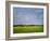 Impressionistic Harvest Field and Truck-Robert Cattan-Framed Photographic Print