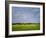 Impressionistic Harvest Field and Truck-Robert Cattan-Framed Photographic Print