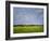 Impressionistic Harvest Field and Truck-Robert Cattan-Framed Photographic Print