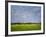 Impressionistic Harvest Field and Truck-Robert Cattan-Framed Photographic Print