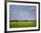 Impressionistic Harvest Field and Truck-Robert Cattan-Framed Photographic Print