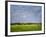 Impressionistic Harvest Field and Truck-Robert Cattan-Framed Photographic Print