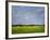 Impressionistic Harvest Field and Truck-Robert Cattan-Framed Photographic Print