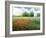 Impressionists Garden-Kevin Dodds-Framed Giclee Print