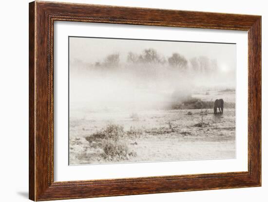 Impressions of Winter-Adrian Campfield-Framed Photographic Print