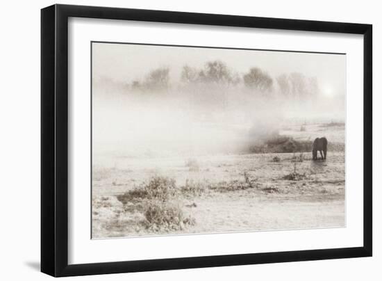 Impressions of Winter-Adrian Campfield-Framed Photographic Print