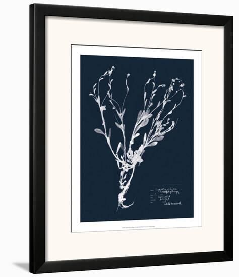 Impressions on Indigo II-null-Framed Art Print