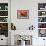 Impressive Impala-Alan Hausenflock-Framed Photographic Print displayed on a wall