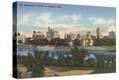 Stretched Canvas Print