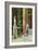 In a Courtyard in Pompeii-Luigi Bazzani-Framed Giclee Print