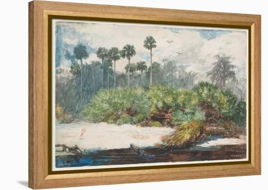 In a Florida Jungle (W/C over Graphite on Paper)-Winslow Homer-Framed Premier Image Canvas