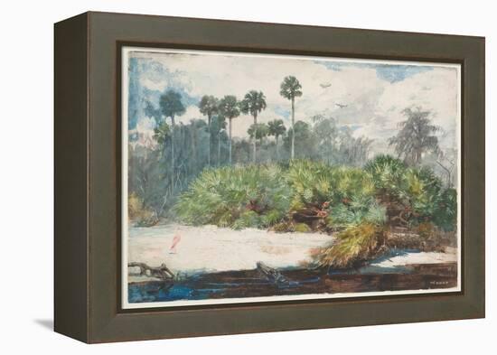 In a Florida Jungle (W/C over Graphite on Paper)-Winslow Homer-Framed Premier Image Canvas